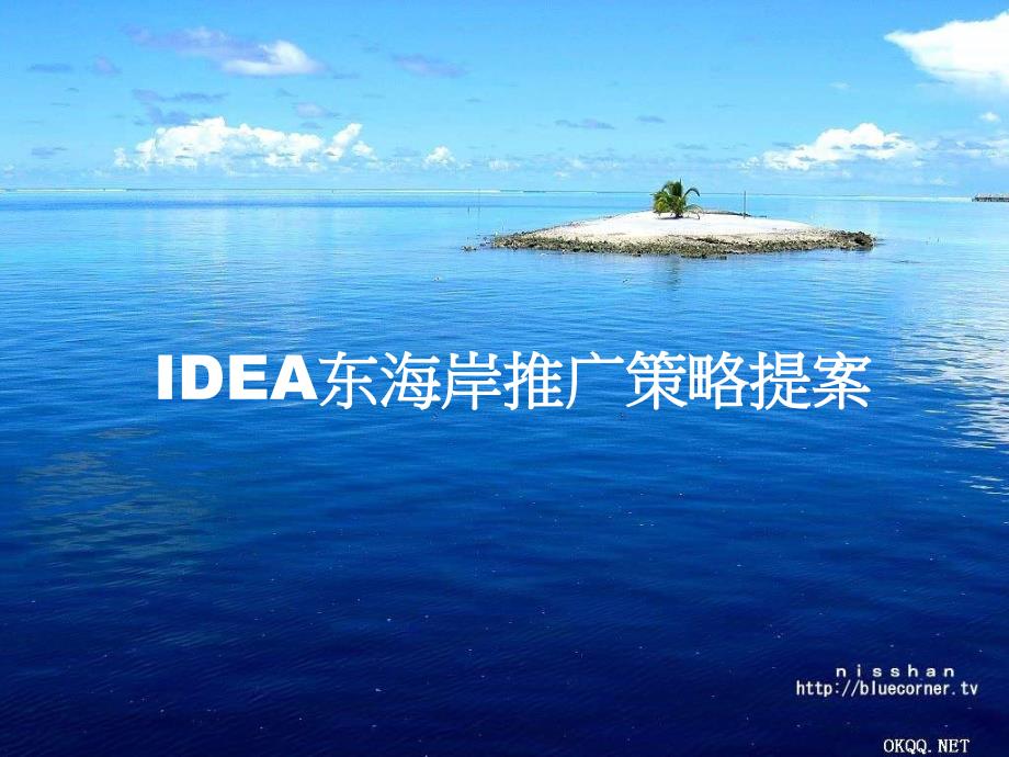 IDEA东海岸推广策略提案_第1页