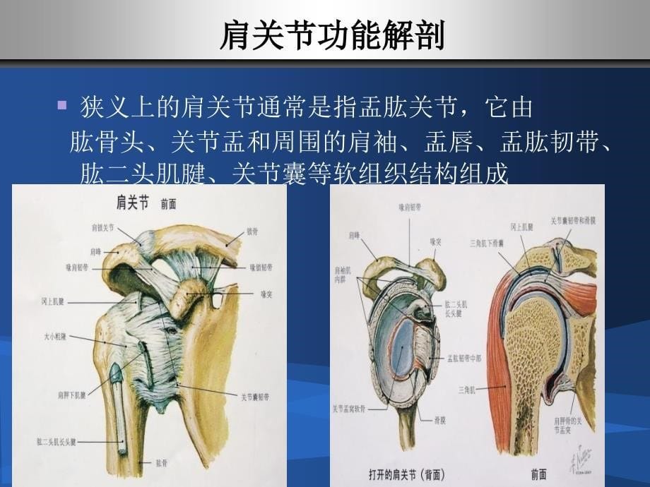 肩关节镜围手术期护理_第5页