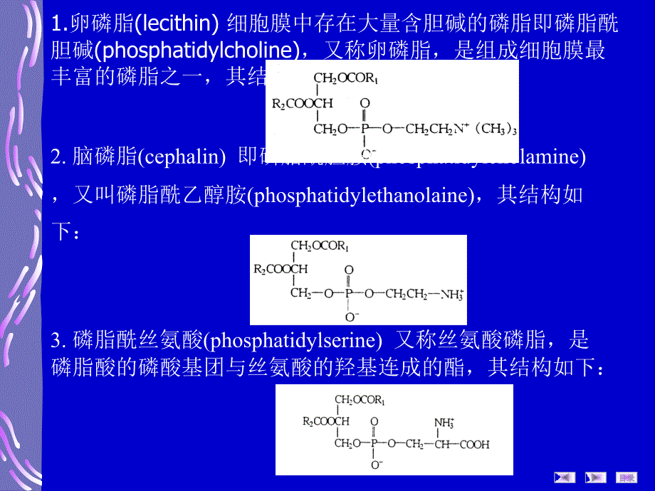 生物化学第二章脂类化学_第4页