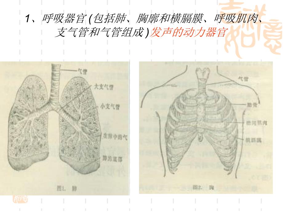 《教师口语好好》PPT课件.ppt_第4页