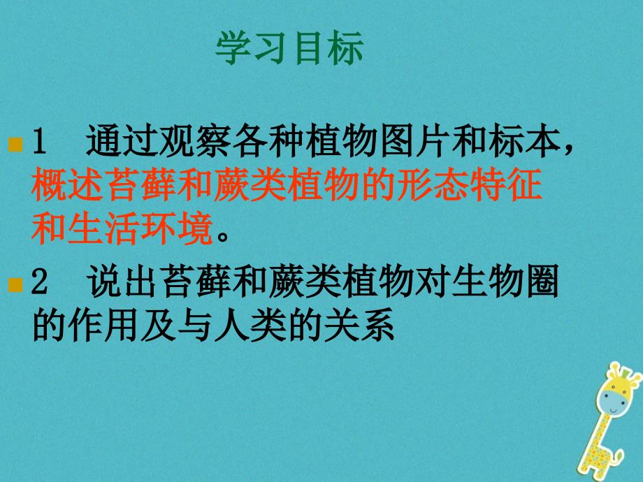 六年级生物下册 3.1.2《苔藓和蕨类植物》3 鲁科版五四制_第2页