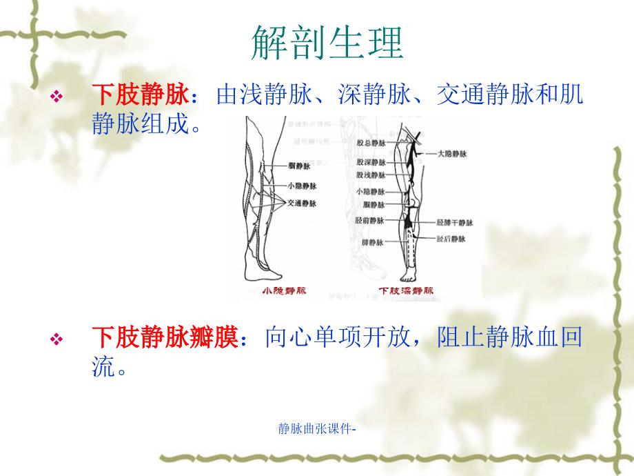 最新静脉曲张课件-_第3页