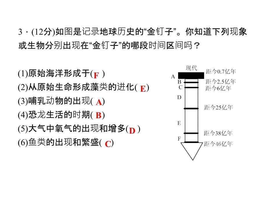 1-3　地球的演化和生命的起源（共14张PPT）_第5页