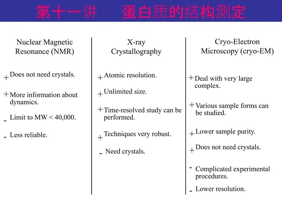 蛋白质的结构测定PPT课件_第5页