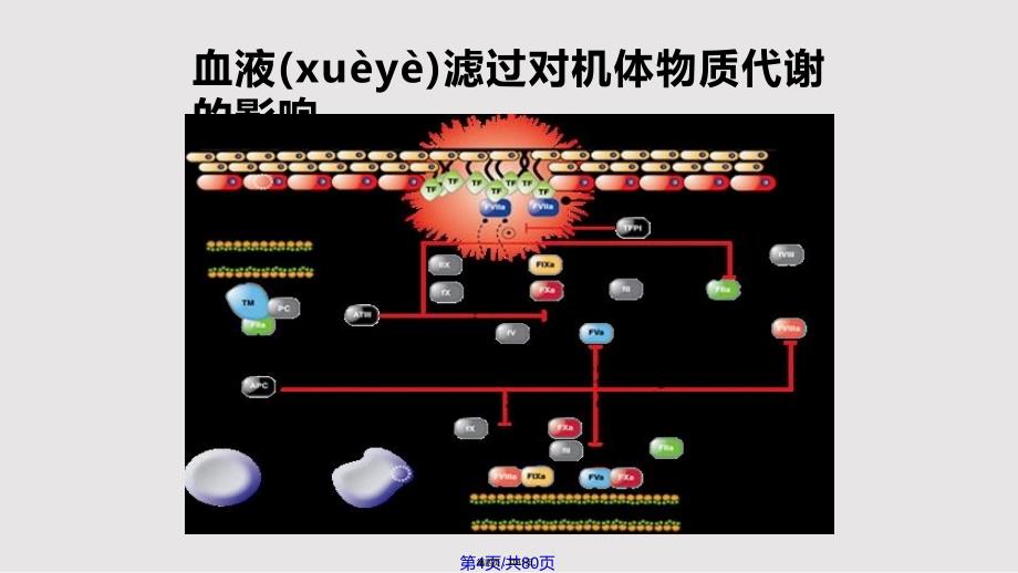 CRRT治疗中的营养问题实用教案_第4页