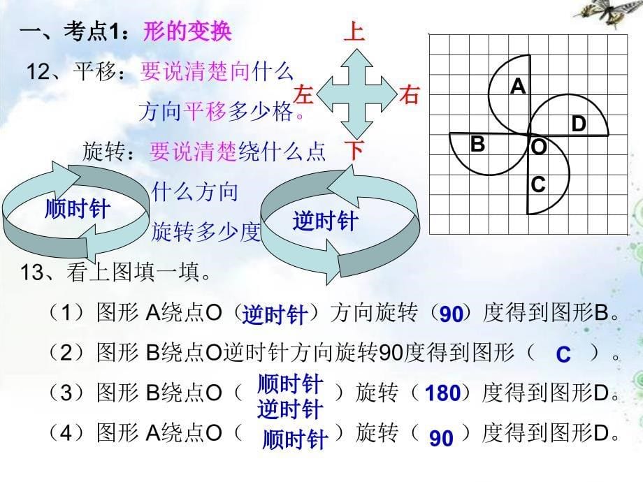 (北师大版)六年级上册数学第三单元图形的变换常考题型练习_第5页