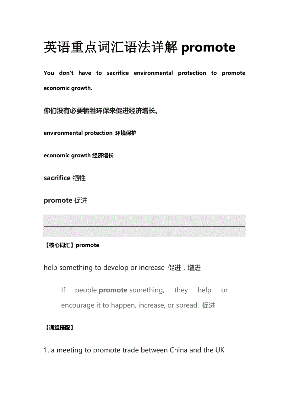 英语重点词汇语法详解promote_第1页