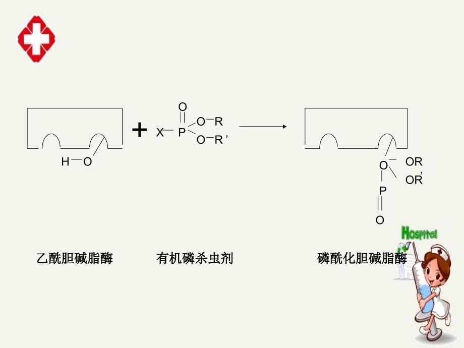 急性有机磷中毒的规范化治疗精编ppt_第5页