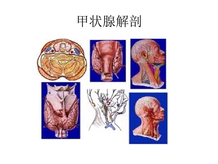 甲状腺的超声检查课件_第3页