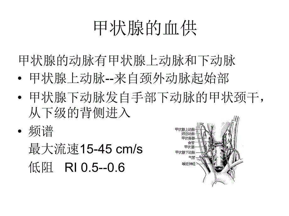 甲状腺的超声检查课件_第4页