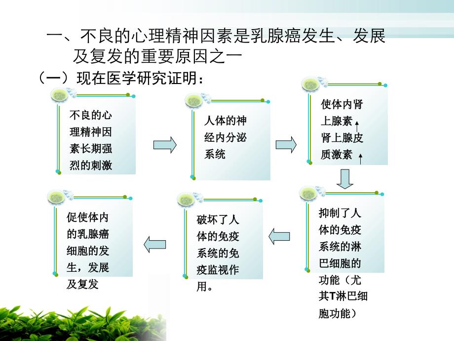 乳腺癌病人心理精神健康.ppt_第2页