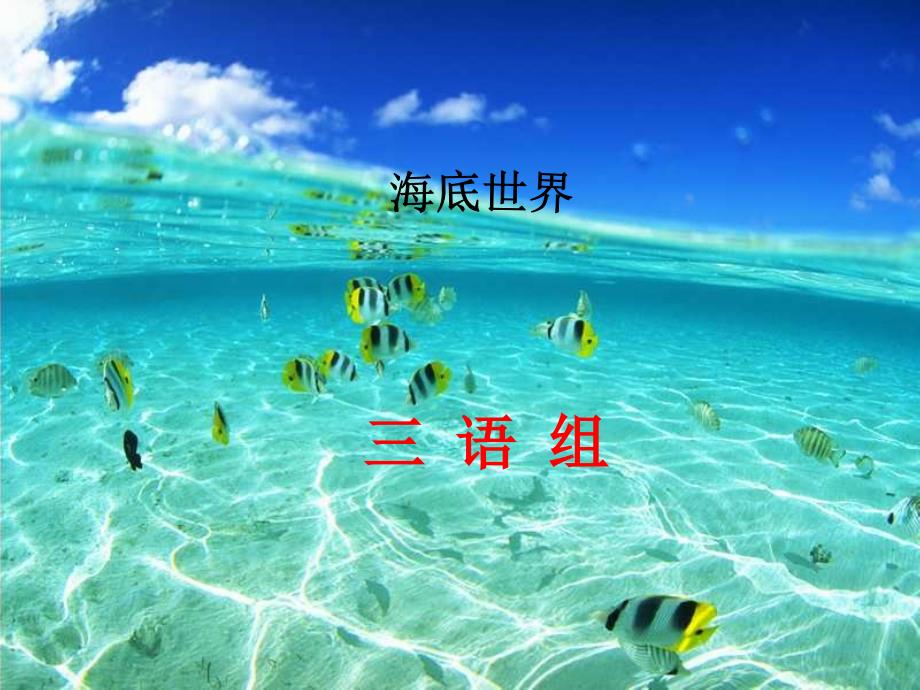 海底世界课件_第1页