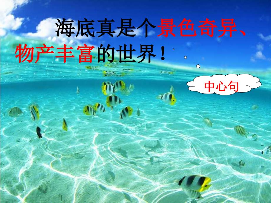 海底世界课件_第4页