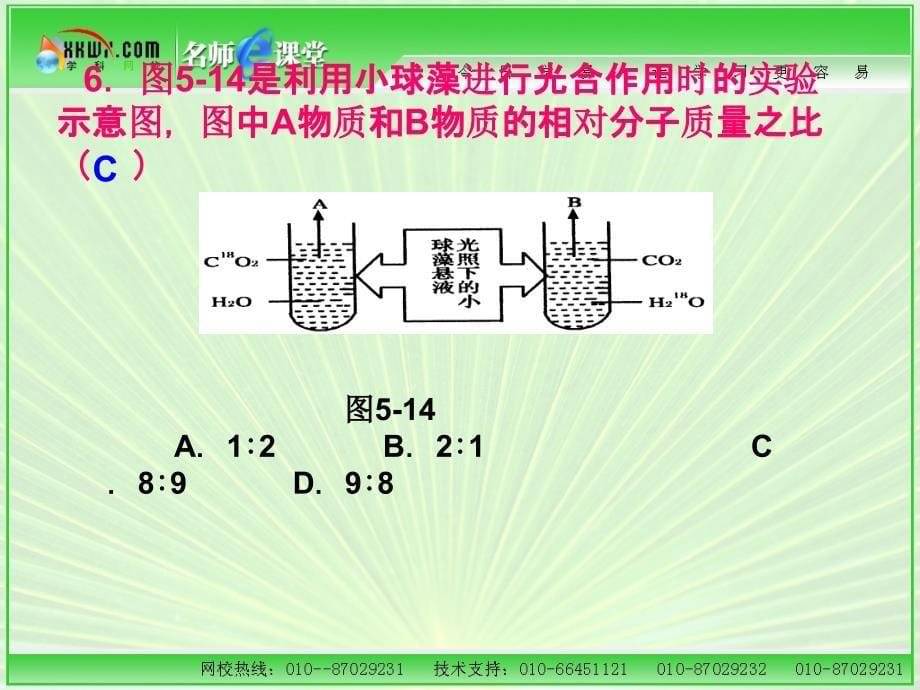 光合作用与呼吸作用练习题_第5页