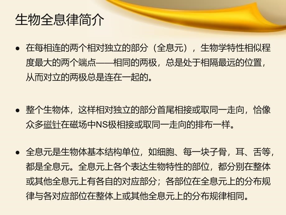 《全息诊疗法概述》PPT课件.ppt_第5页