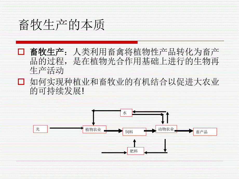 饲料营养物质的消化吸收.课件_第4页