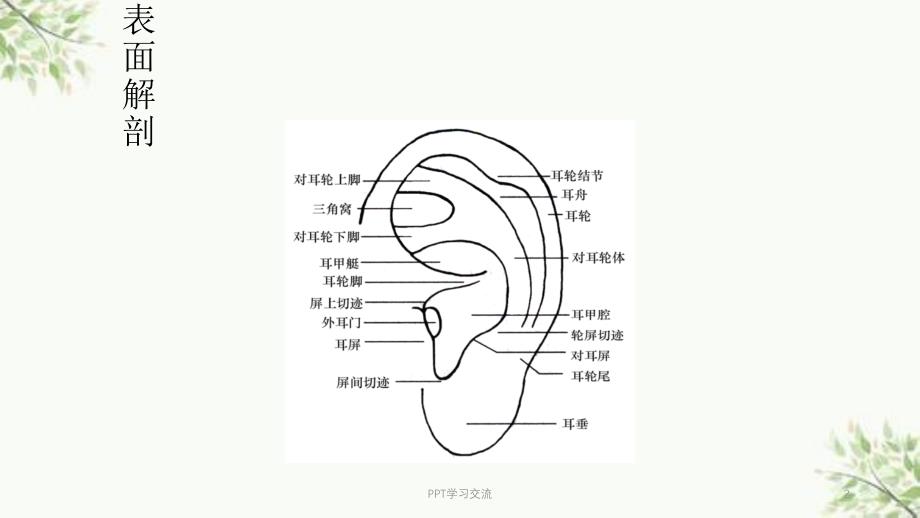 耳穴压豆最新ppt课件_第2页