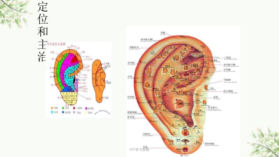 耳穴压豆最新ppt课件_第4页