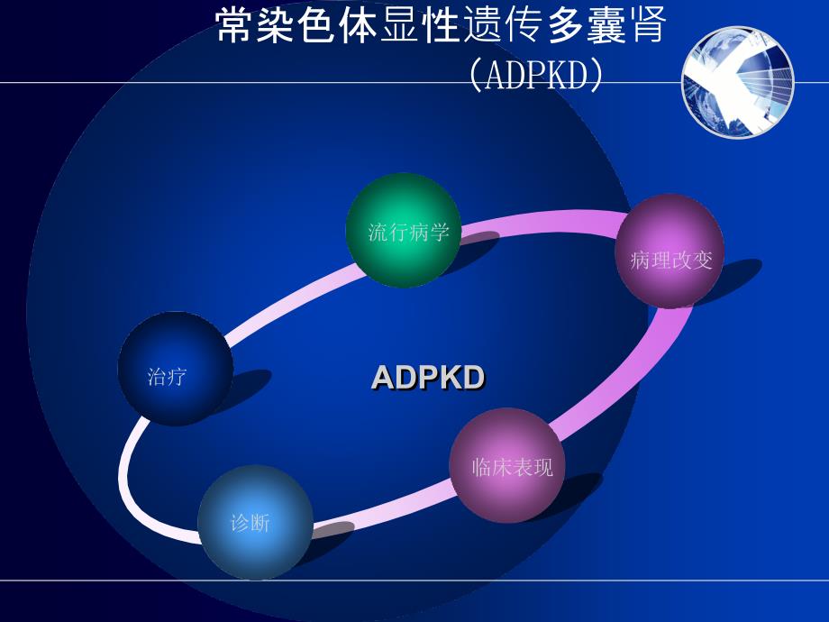 常染色体显性遗传多囊肾病囊肿去顶减压术价值的探讨文档资料_第3页