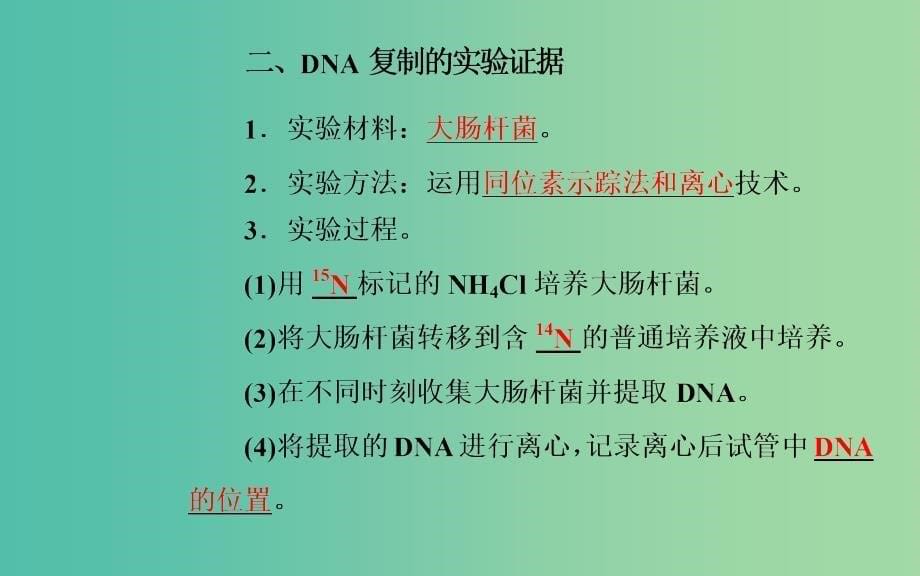 高中生物 第3章 基因的本质 第3节、第4节DNA的复制、基因是有遗传效应的DNA片段课件 新人教版必修2.ppt_第5页