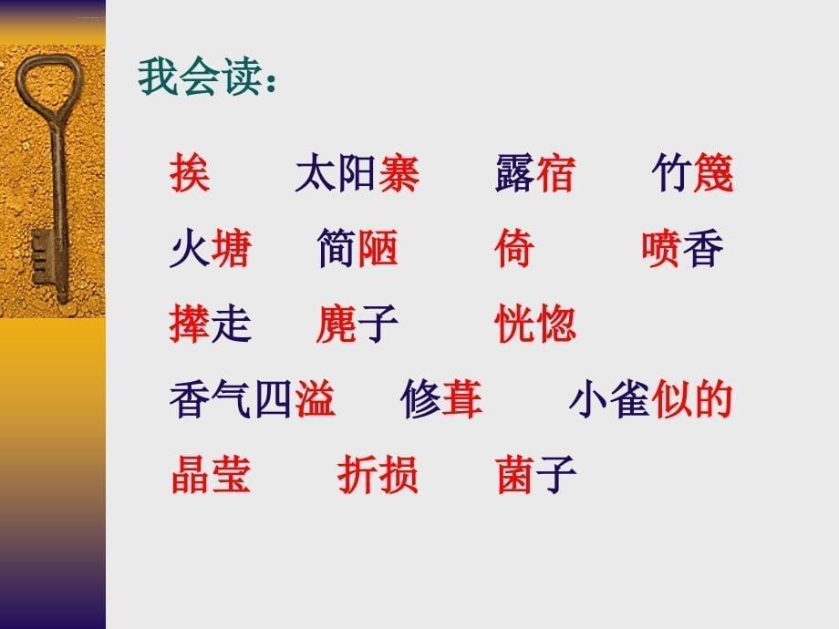 《驿路梨花》ppt课件_第5页