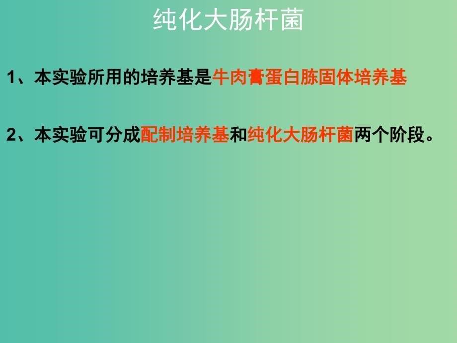 高中生物 纯化大肠杆菌课件 苏教版选修1.ppt_第5页