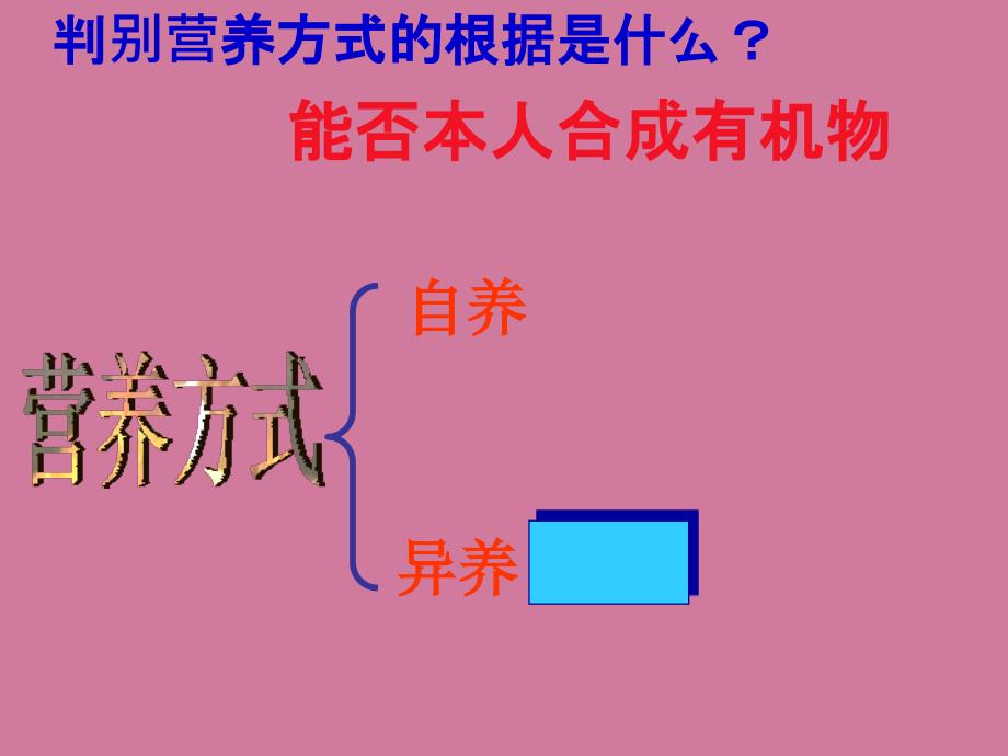 人教版生物八年级上册5.4.2细菌ppt课件_第3页