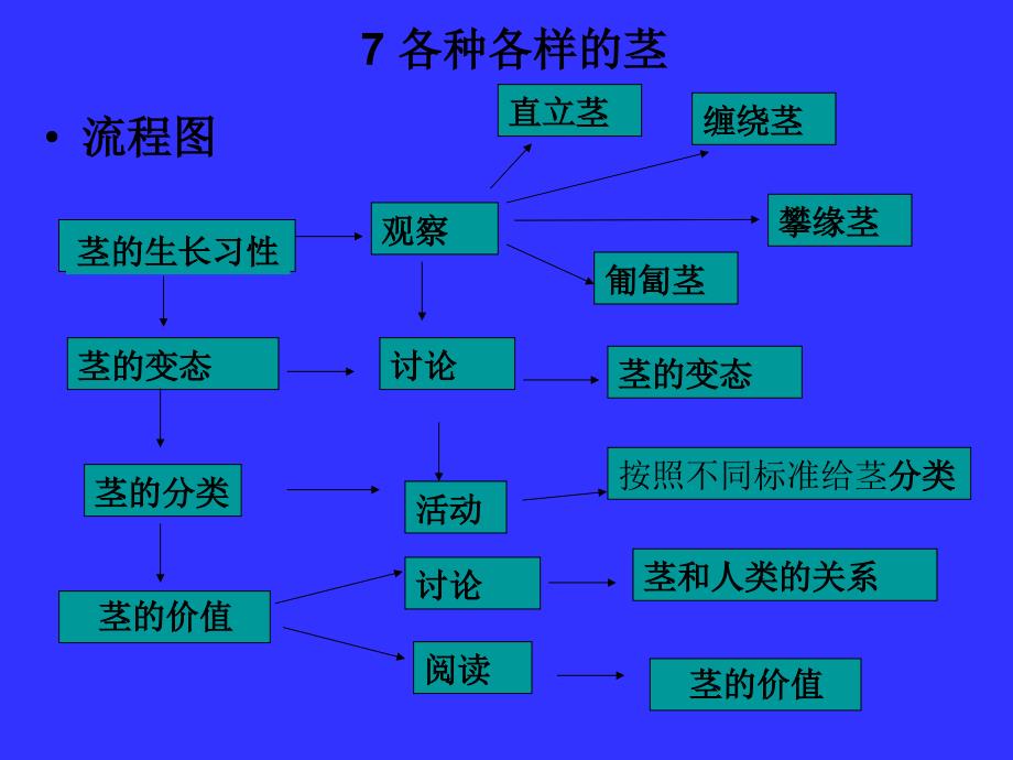 各种各样的茎教材介绍_第2页