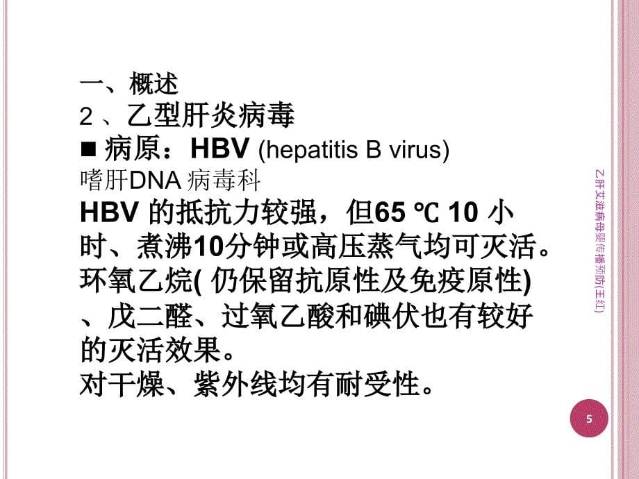 乙肝艾滋病母婴传播预防王红课件_第5页