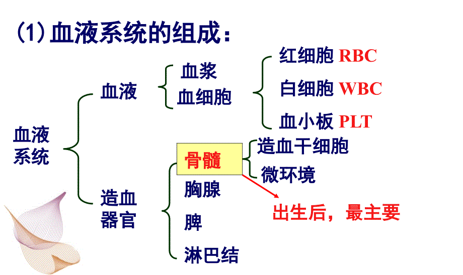 最新血三系减少病人的护理_第2页