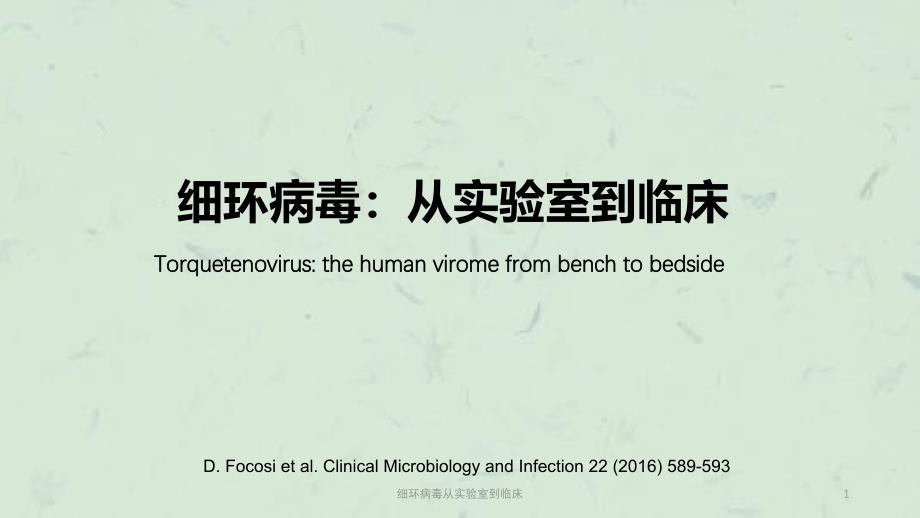 细环病毒从实验室到临床课件_第1页