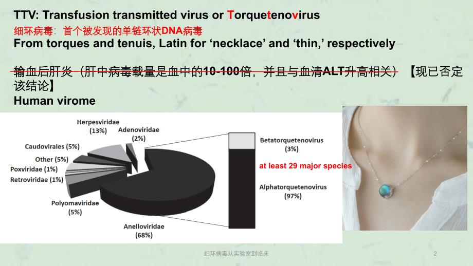 细环病毒从实验室到临床课件_第2页