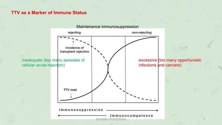 细环病毒从实验室到临床课件_第5页