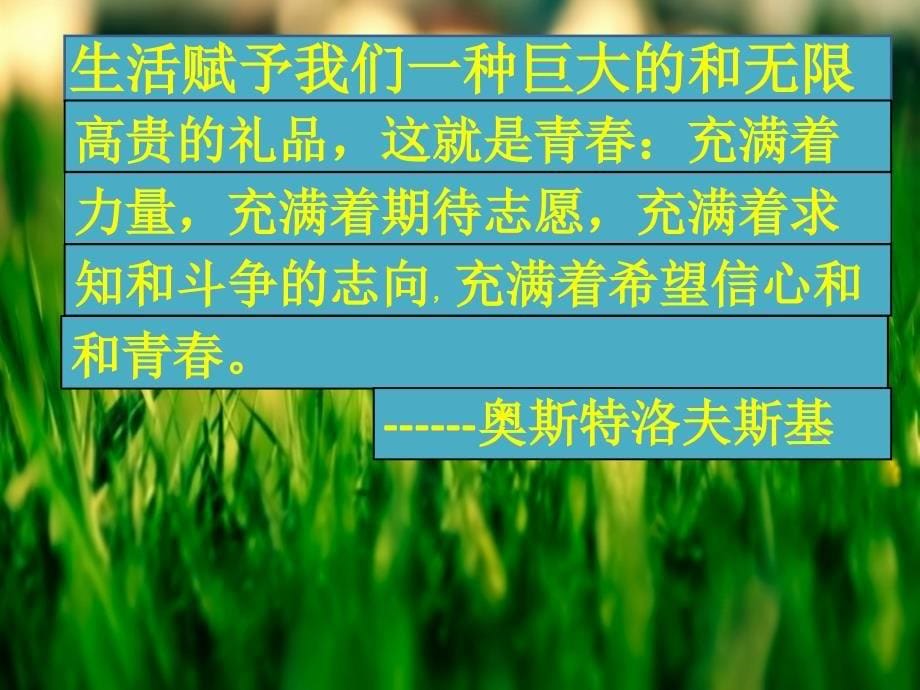 激扬青春放飞梦想.ppt_第5页