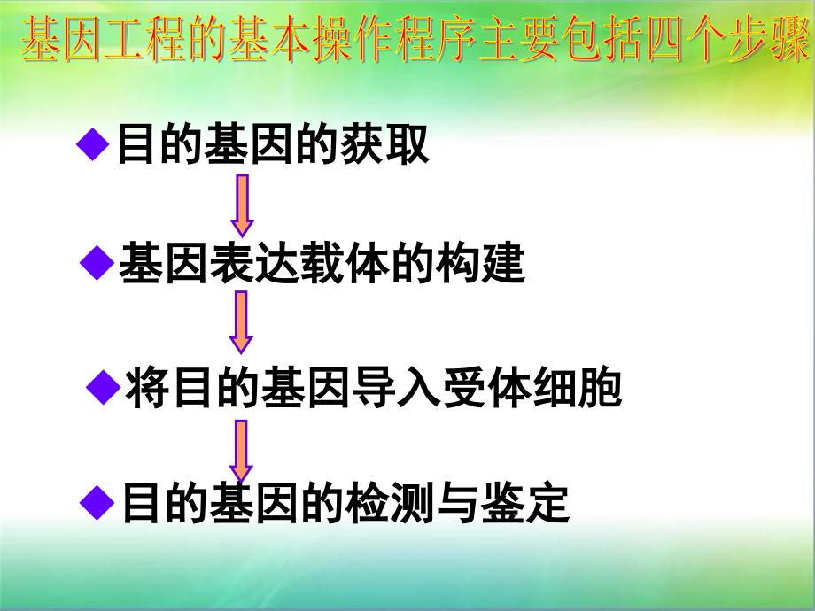 DNA重组技术的基本步骤_第2页