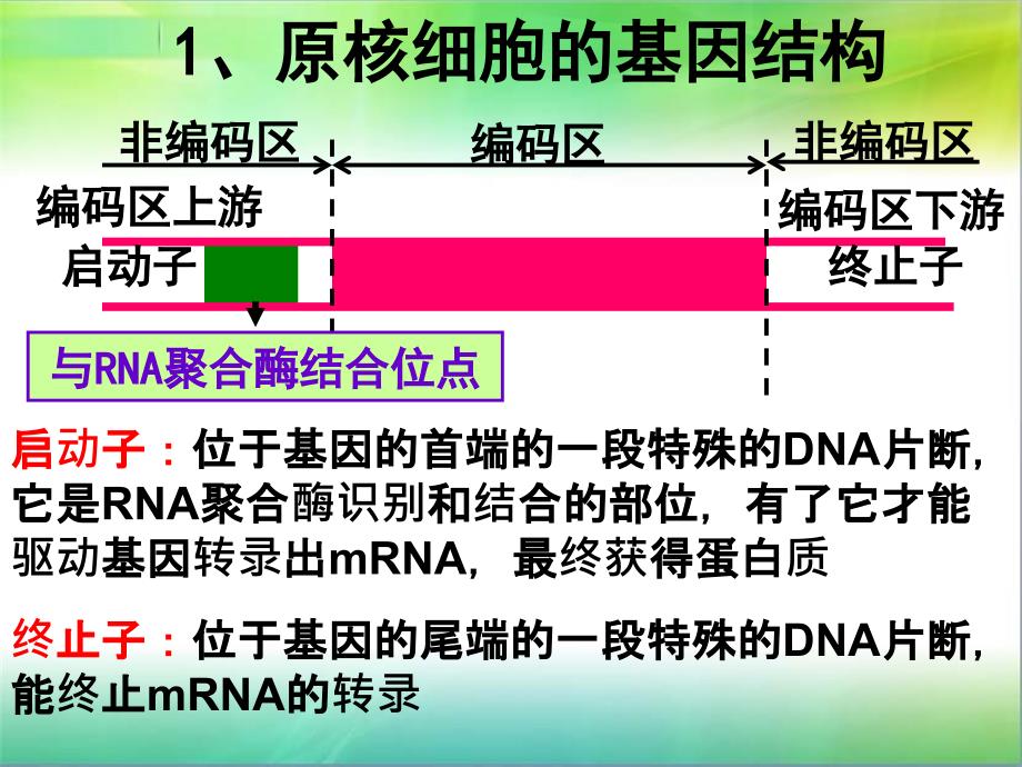 DNA重组技术的基本步骤_第3页