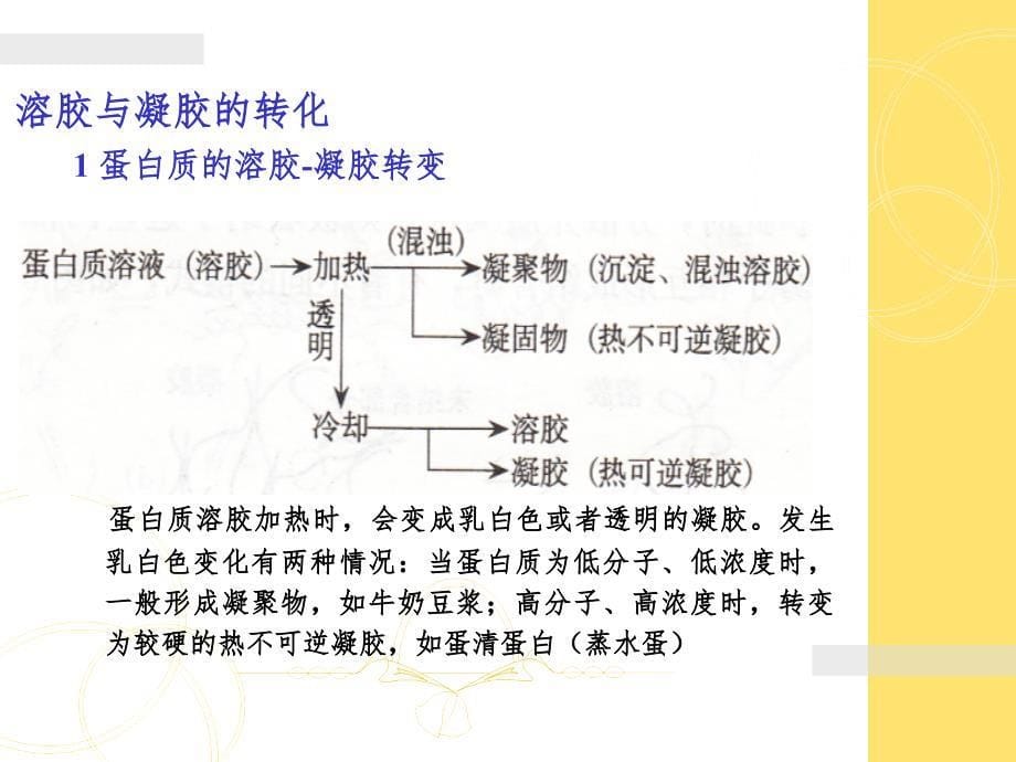 固体和半固体食品的物性PPT课件_第5页