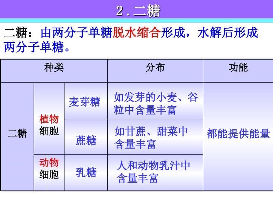 糖类和脂质_第5页