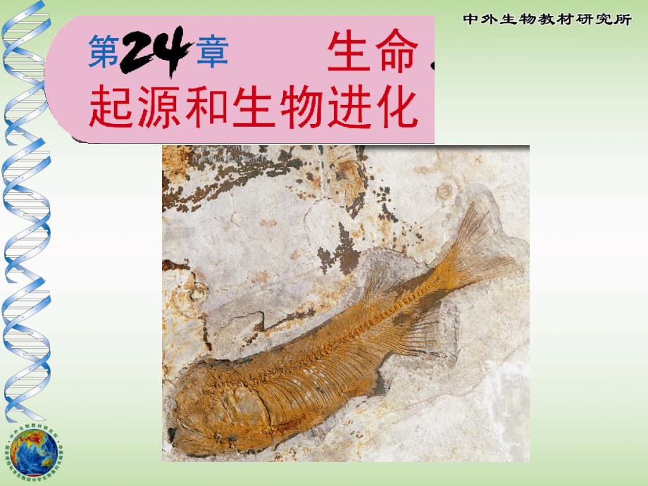 生命起源和生物进化_第1页