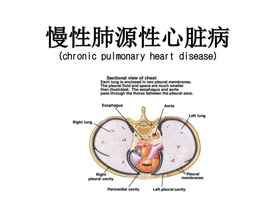 慢性肺源性心脏病护理_第1页