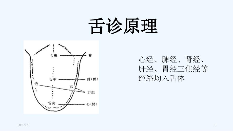 舌诊（63页）教学课件_第3页