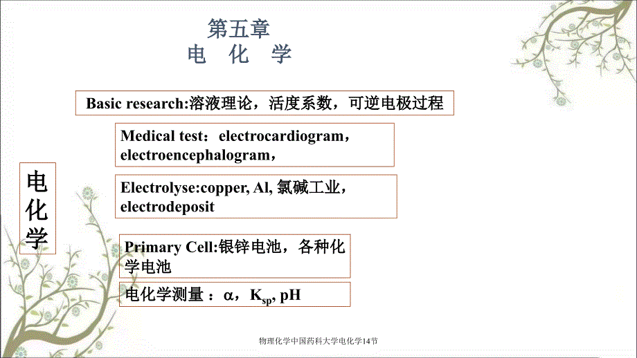 物理化学中国药科大学电化学14节_第1页