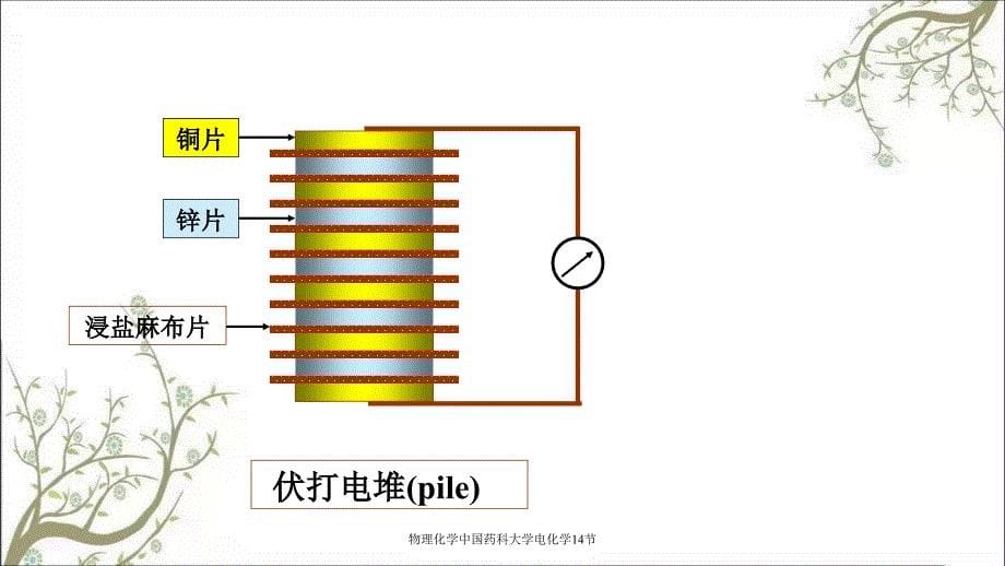 物理化学中国药科大学电化学14节_第5页