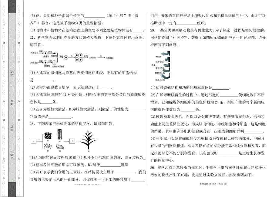 人教版七年级生物（上）第二章《细胞怎样构成生物体》测试卷及答案1_第5页