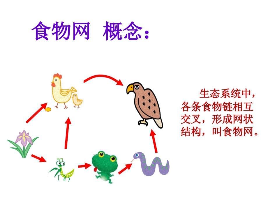 自然界的生态系统_第5页