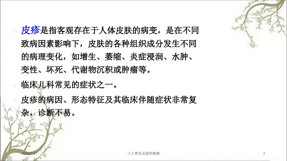 小儿常见出疹性疾病_第2页