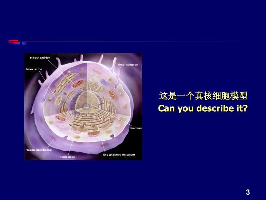 经典一组织培养技术_第3页