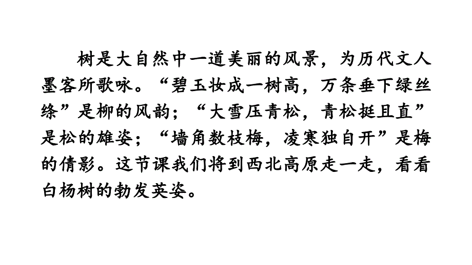 初中语文八年级上册15 白杨礼赞教学课件（2023秋）_第1页