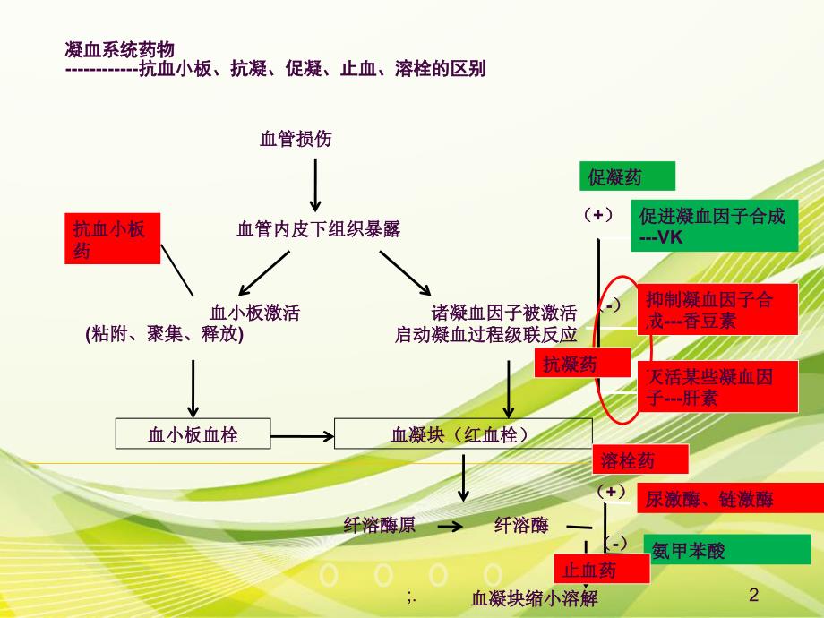 抗凝药物简介ppt课件_第2页