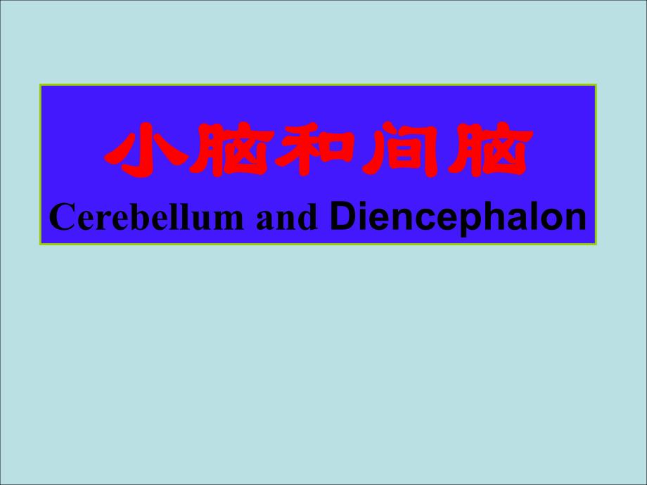 神经解剖学课件：04 小脑和间脑_第1页